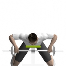 Barbell Row, Prone Ending Position