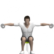 Dumbbell Lateral Raise, Seated, Bent Forward Ending Position