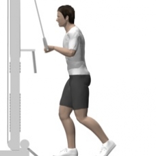 Cable Pushdown, One Arm Starting Position