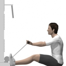 Cable Curl, Seated, Elbows Up Starting Position