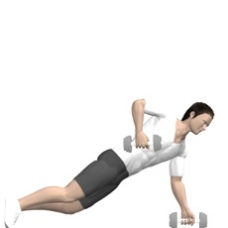 Dumbbell Renegade Row Starting Position