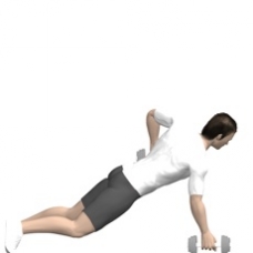 Dumbbell Renegade Row Ending Position