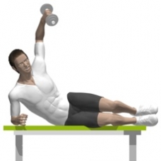 Dumbbell Lateral Raise, Lateral Position Ending Position
