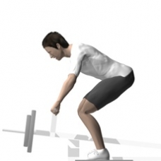 Lever Row, T-Bar, Bent-over Starting Position
