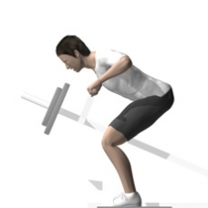 Lever Row, T-Bar, Bent-over Ending Position