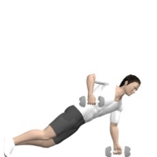 Dumbbell Renegade Row, Push-up Starting Position