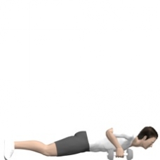 Dumbbell Renegade Row, Push-up Ending Position