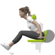 Lever Back Extension, Seated Starting Position