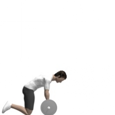 Barbell Roll-out Starting Position