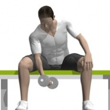 Dumbbell Concentration Curl Starting Position
