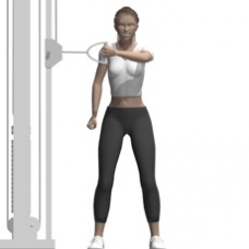 Cable Reverse Fly, Standing, One Arm Starting Position