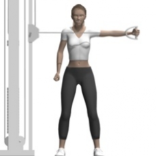 Cable Reverse Fly, Standing, One Arm Ending Position