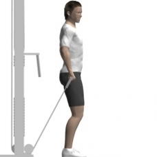 Cable Front Raise, One Arm Starting Position