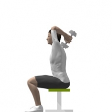 Dumbbell Triceps Extension, Seated Ending Position