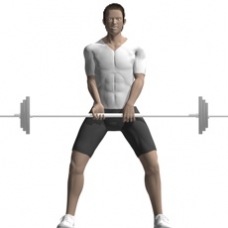 Barbell Dead Lift, Sumo Style Starting Position