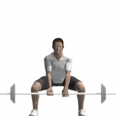 Barbell Dead Lift, Sumo Style Ending Position