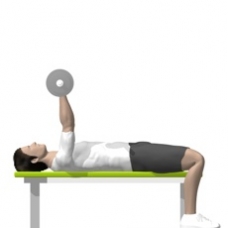 Barbell Triceps Extension, Lying Starting Position