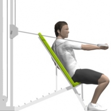 Cable Chest Press, One Arm, Twist Ending Position
