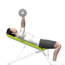 Barbell Triceps Extension, Incline Starting Position