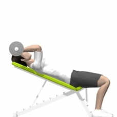 Barbell Triceps Extension, Incline Ending Position