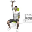 Shoulder Press, Seated, One Arm