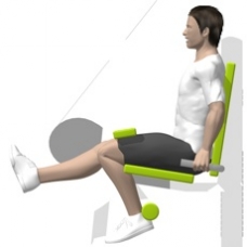 Lever Leg Curl, Seated, Single Leg Ending Position