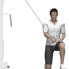 Cable Kneeling Fly, One Arm Ending Position