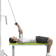 Cable Curl, Supine, On Flat Bench Starting Position