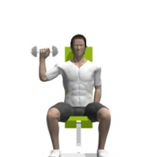 Dumbbell Shoulder Press, Seated, One Arm Starting Position