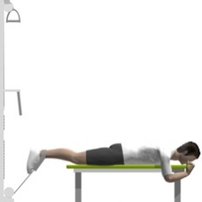 Cable Leg Curl, Prone Starting Position