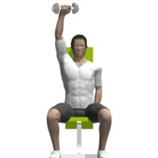 Dumbbell Shoulder Press, Seated, One Arm Ending Position