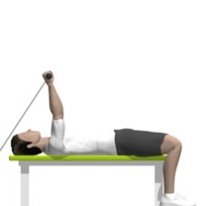 Cable Triceps Extension, Lying Ending Position
