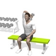Triceps Extension, Seated, One Arm
