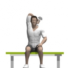 Dumbbell Triceps Extension, Seated, One Arm Starting Position