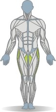 Elastic Band Abduktion, gestrecktes Bein, Variante2 Muskeln Vorderseite
