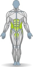 Mat Side Bend, Lateral, Leg Raise Muscles Front
