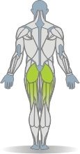 Klettergerüst Kniebeuge, Split Muskeln Rückseite