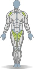 Balance Pad Rückenpressen, diagonal, stehend Muskeln Vorderseite