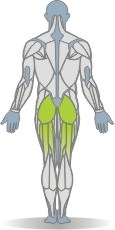 Balance Pad Rückenpressen, diagonal, stehend Muskeln Rückseite