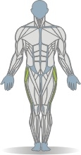TRIMMFIT Bein abspreizen, stehend Muskeln Vorderseite