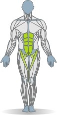 Mat Hip Flexion, Supine, Straight Legs Muscles Front