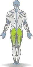 Matte Hüftstrecken, Vierfüßlerstand, gebeugtes Knie Muskeln Rückseite